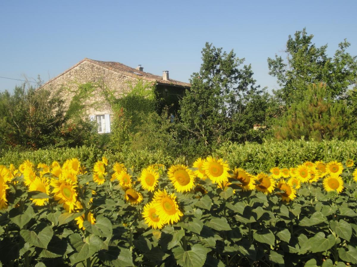 Le Clos Pastel Chambres D'Hotes & Gite Virac Εξωτερικό φωτογραφία